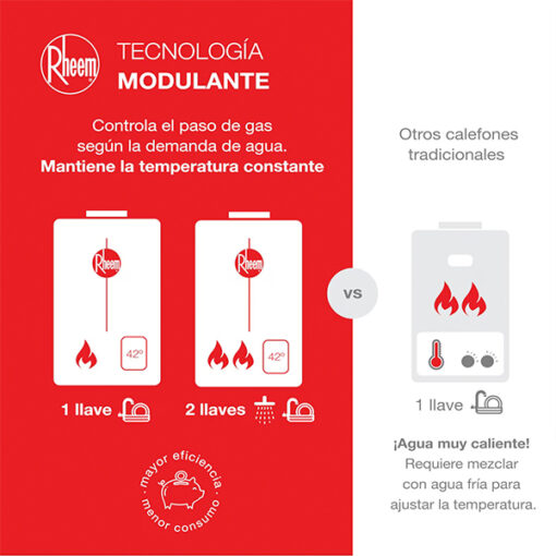 Calefont 10 Lt Tiro Forzado Gas Licuado Rheem