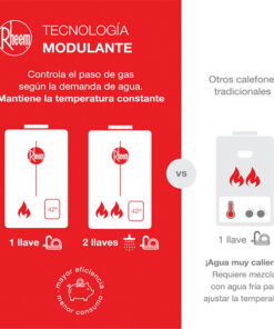 Calefont 16 LT Tiro forzado Gas licuado rheem